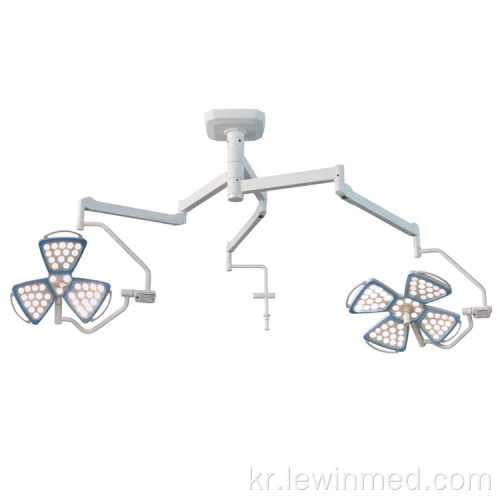 꽃 CE FDA 통과 LED 천장 작동 조명